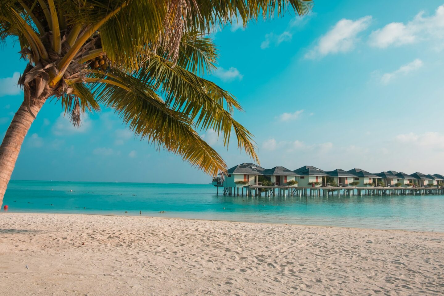sandy-beach-in-the-maldives-e1730011271322.jpg